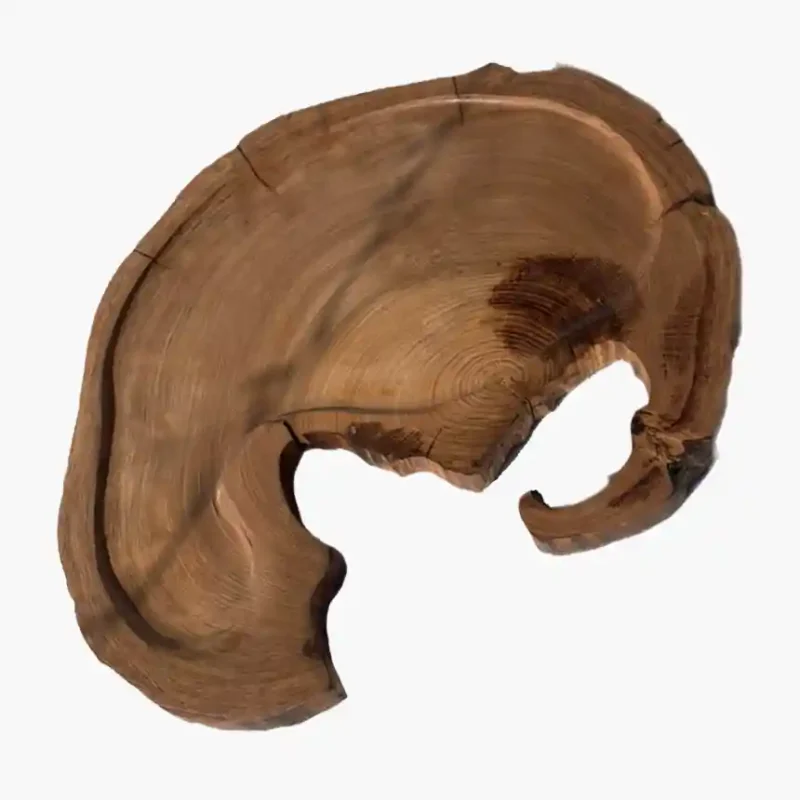 Steak Slabs Category Image