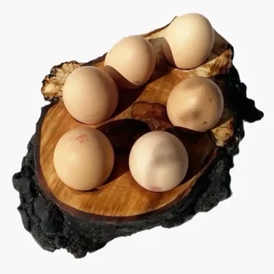 Unusual Items Category Image